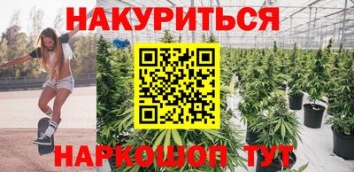 гашик Канаш