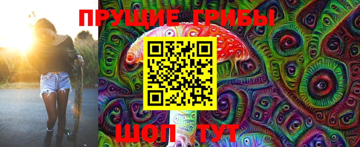 Псилоцибиновые грибы GOLDEN TEACHER Фрязино