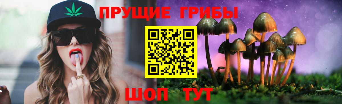 Галлюциногенные грибы ЛСД  Вход с VPN  Псилоцибиновые грибы ЛСД  Фрязино 