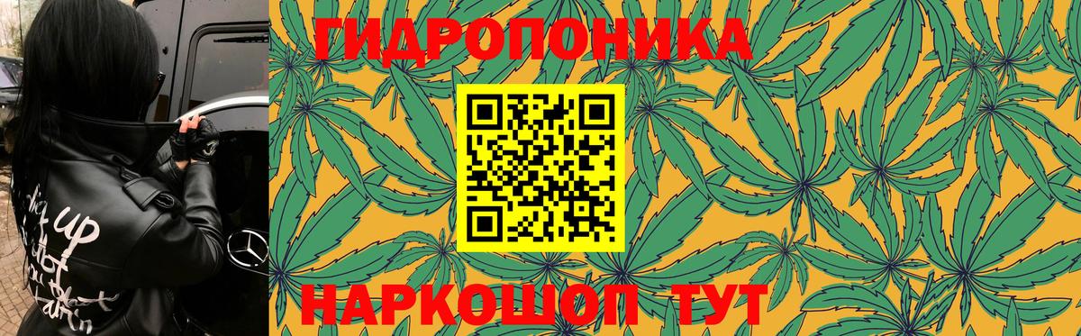 МАРИХУАНА Ganja  Вход с VPN  Фрязино  Каннабис тримм  Канабис сатива  Каннабис планчик 